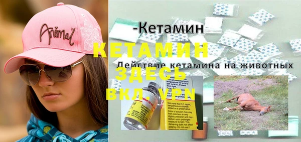 молекула духа Белокуриха