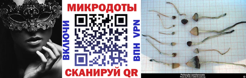 закладка Первомайск Псилоцибиновые грибы ЛСД